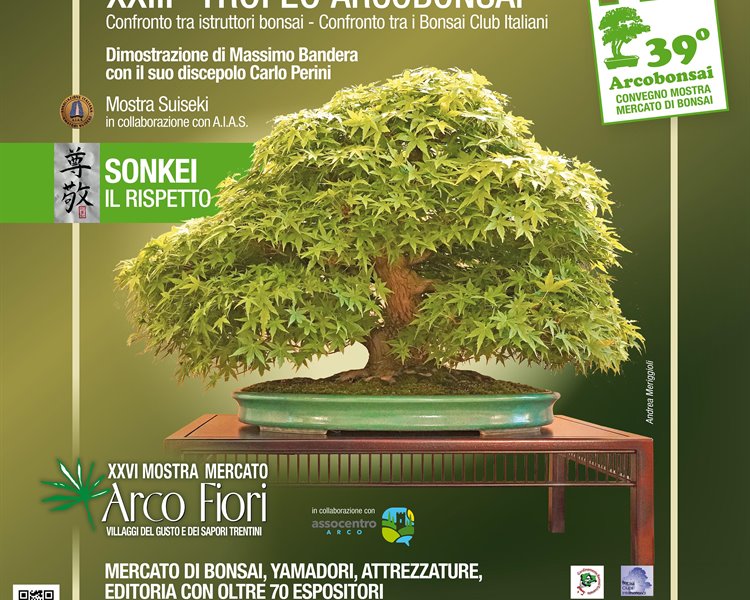 Arco Bonsai 2025