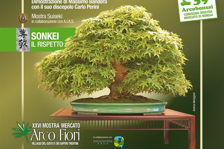 Arco Bonsai 2025