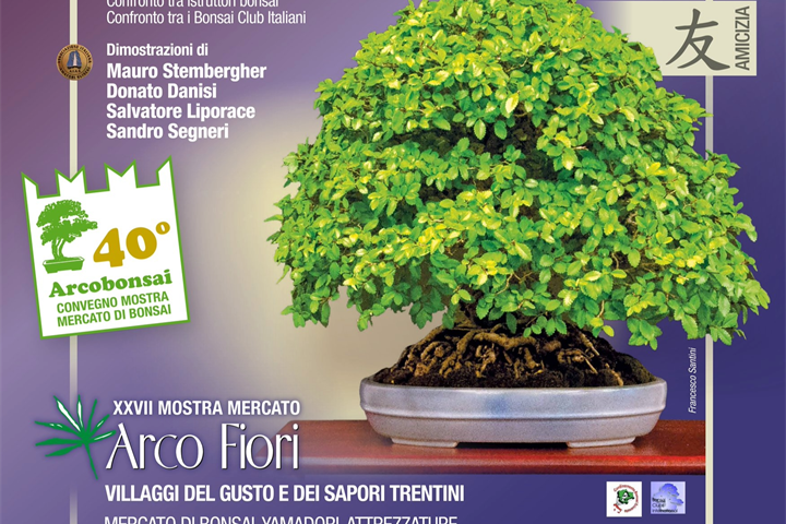 Arco Bonsai 2026